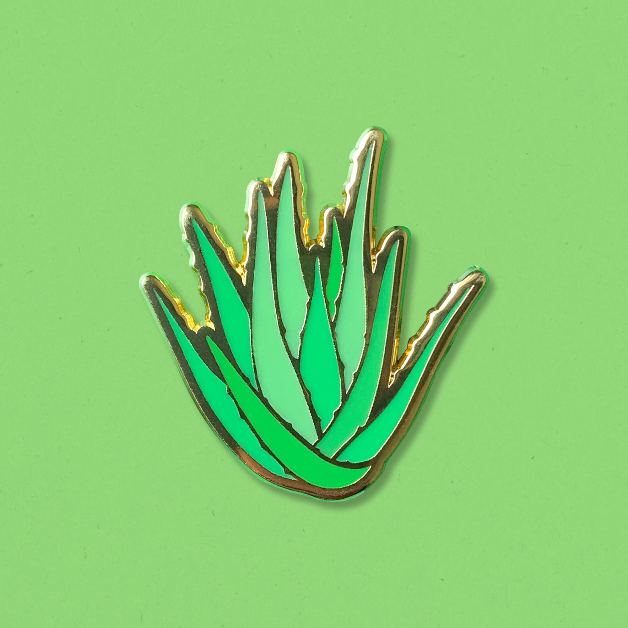 Plants_Aloe_NoCard.jpg