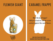 Coffee Rabbit Pin Set