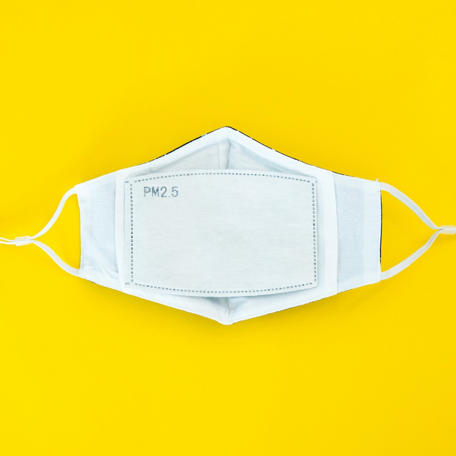 PM2.5 Filters