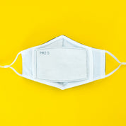PM2.5 Filters
